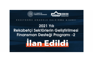 Rekabetçi Sektörlerin Geliştirilmesi Finansman Desteği Programı-2