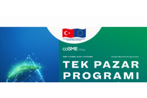 TEK PAZAR PROGRAMI Turizmde Sürdürülebilir Büyüme ve Krizlere Dayanıklılığın Geliştirilmesi Çağrısı Yeşil ve Dijital Dönüşüm için KOBİ`lerin Güçlendirilmesi SMP-COSME-2022-TOURSME